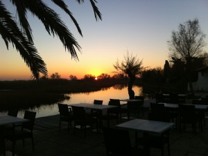 Hôtel - Restaurant - Spa - 4 étoiles en Camargue 